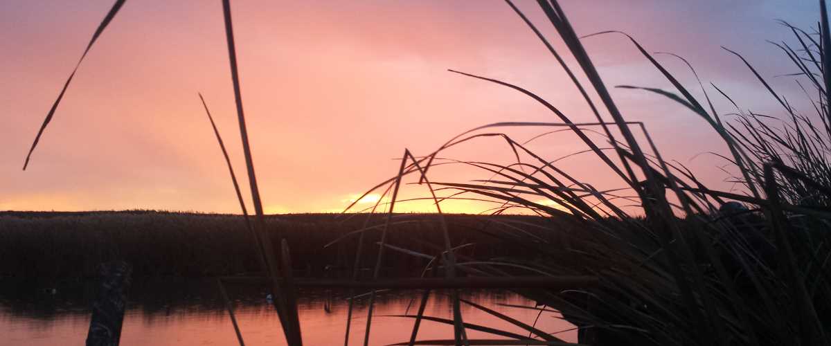 Securing wetlands and waterfowl habitats